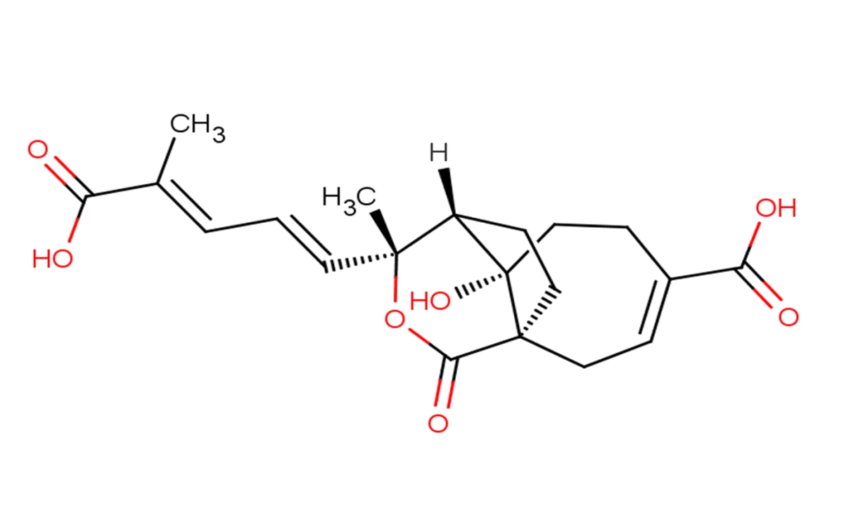 Demethoxydeacetoxypseudolaric acid B analogͼƬ