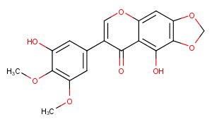 DichotomitinͼƬ