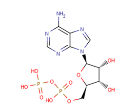 Adenosine 5'-diphosphateͼƬ