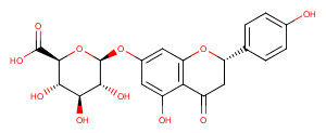 Naringenin-7-O-beta-D-glucuronideͼƬ