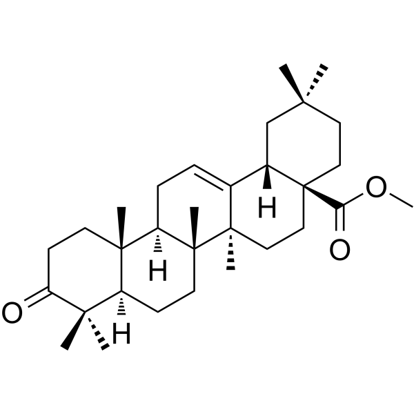 Methyl oleanonateͼƬ