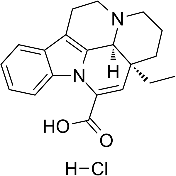 Apovincaminic acid hydrochloride saltͼƬ