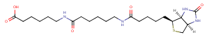 Biotin-C5-amino-C5-aminoͼƬ