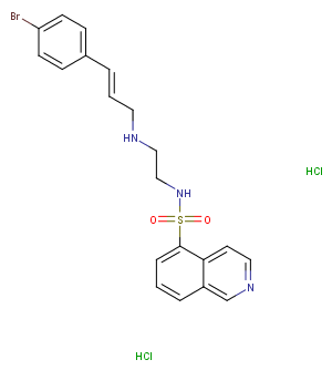 H-89 dihydrochlorideͼƬ