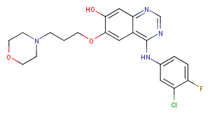 O-Desmethyl GefitinibͼƬ