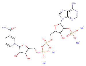 NADPH tetrasodium saltͼƬ