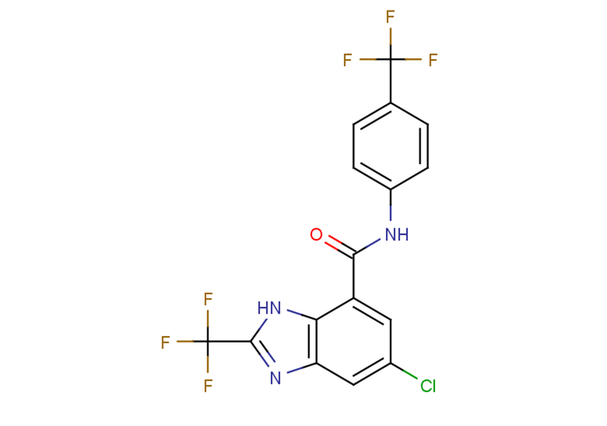 DK419ͼƬ