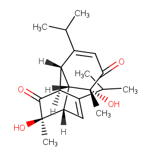 3,10-Dihydroxy-5,11-dielmenthadiene-4,9-dioneͼƬ