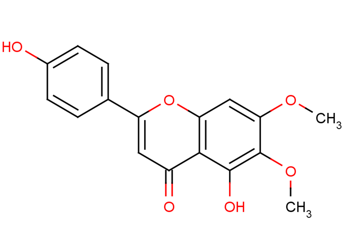 CirsimaritinͼƬ