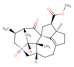 Calyciphylline AͼƬ