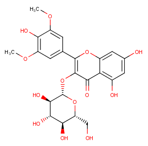 Syringetin-3-O-glucosideͼƬ