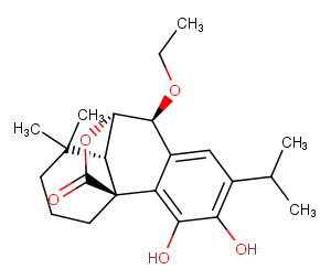 7-EthoxyrosmanolͼƬ