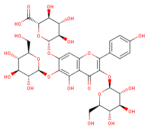 6-hydroxyl kaempherol-3,6-O-diglucosyl-7-O-Glucuronic acidͼƬ