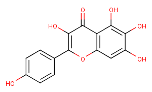 6-HydroxykaempferolͼƬ