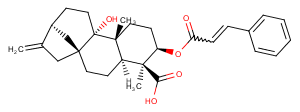 3alpha-Cinnamoyloxypterokaurene L3ͼƬ