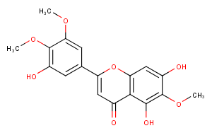 5,7,3'-Trihydroxy-6,4',5'-trimethoxyflavoneͼƬ