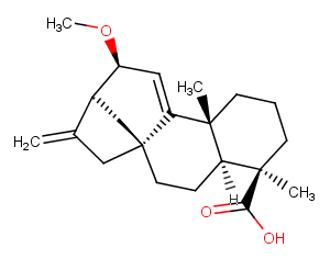 12alpha-Methoxygrandiflorenic acidͼƬ