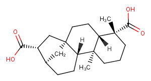 ent-Kauran-17,19-dioic acidͼƬ