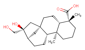 16beta,17-Dihydroxy-ent-kaurane-19-oic acidͼƬ