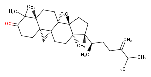 24-MethylenecycloartanoneͼƬ