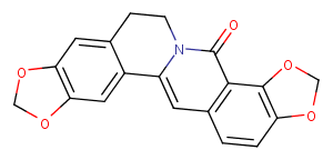 8-OxocoptisineͼƬ