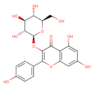 astragalinͼƬ