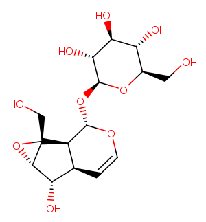 CatalpolͼƬ