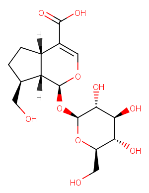 Adoxosidic acidͼƬ