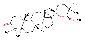 20,24-Epoxy-24-methoxy-23(24-25)abeo-dammaran-3-oneͼƬ