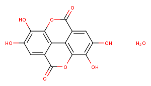 Ellagic acid(hydrate)ͼƬ