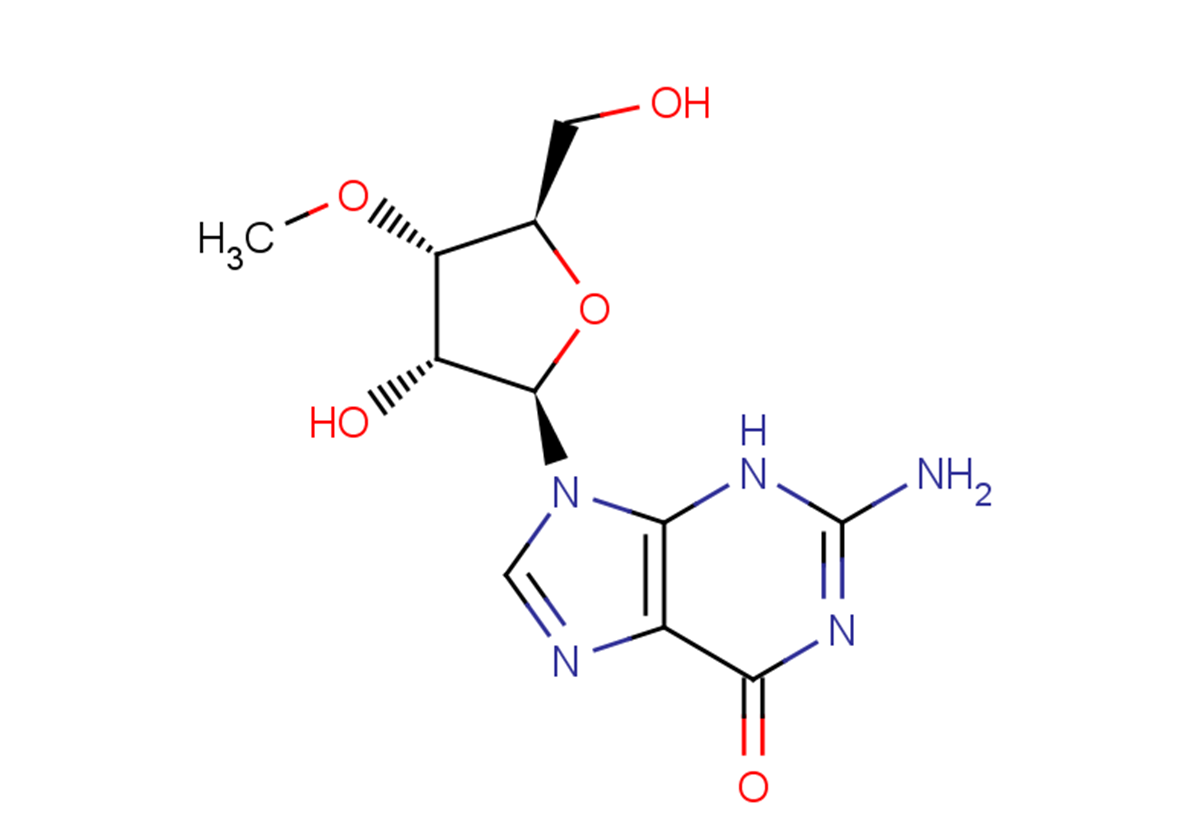 3'-O-Methyl guanosineͼƬ