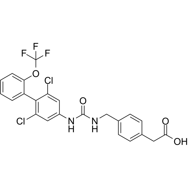 RORt inverse agonist 13ͼƬ