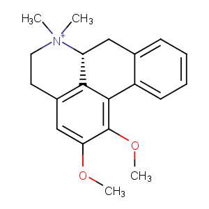 N-MethylnuciferineͼƬ