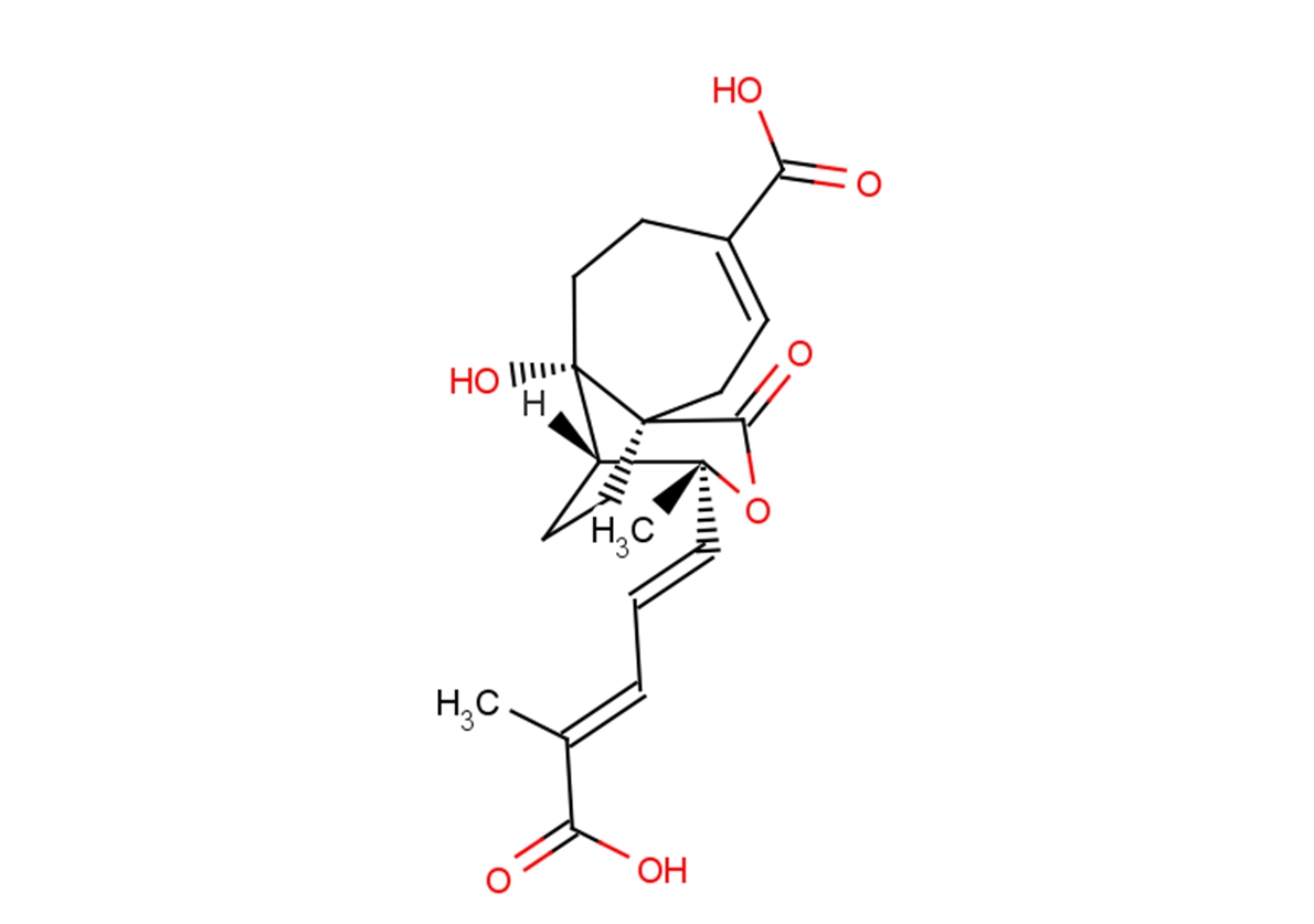 Demethoxydeacetoxypseudolaric acid BͼƬ