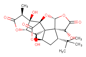 Ginkgolide BͼƬ