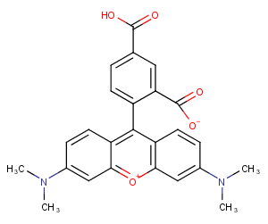 5-TAMRAͼƬ