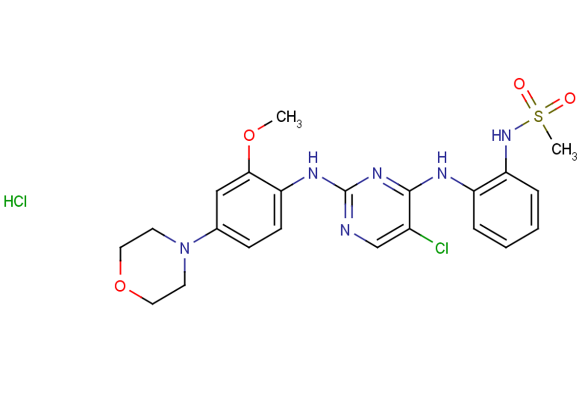 CZC-54252 hydrochlorideͼƬ