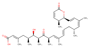 Leptomycin AͼƬ