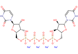 Diquafosol tetrasodiumͼƬ