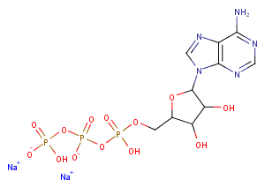 ATP disodium saltͼƬ