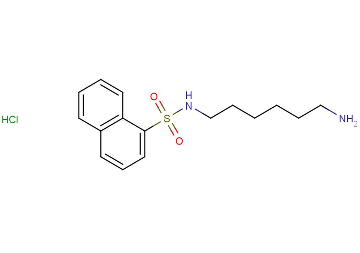 W-5 hydrochlorideͼƬ