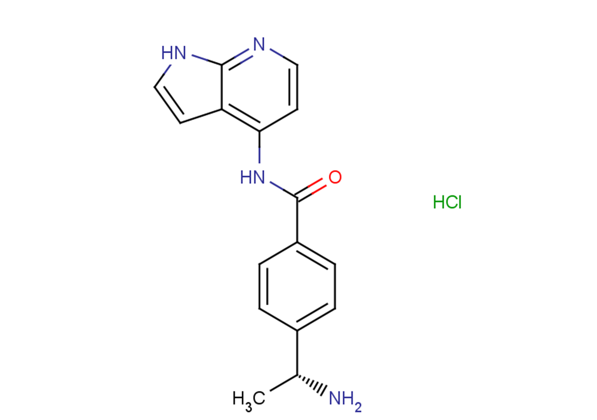 Y-39983 hydrochlorideͼƬ