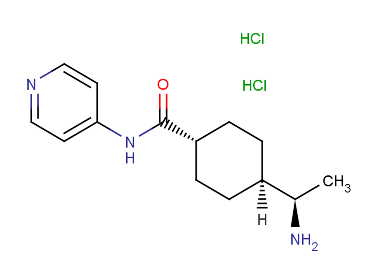 Y-27632 dihydrochlorideͼƬ