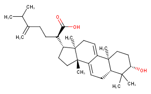 Dehydrotrametenolic acidͼƬ