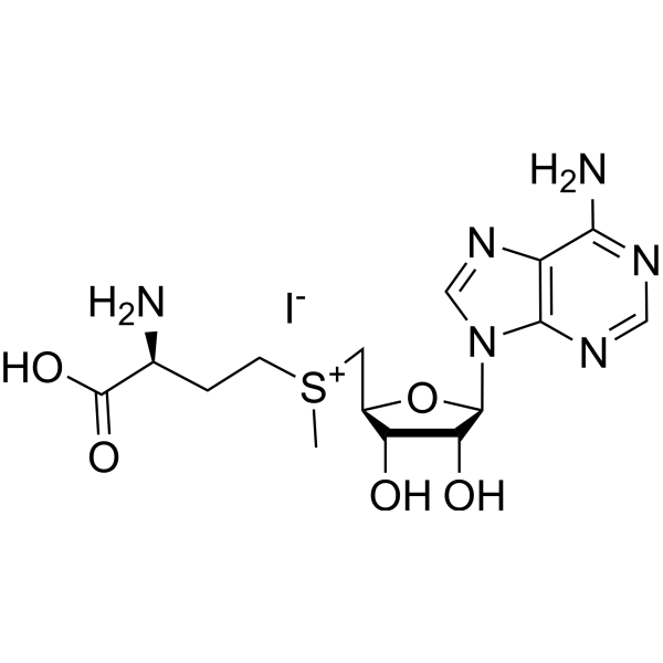 S-Adenosyl-L-methionine iodideͼƬ