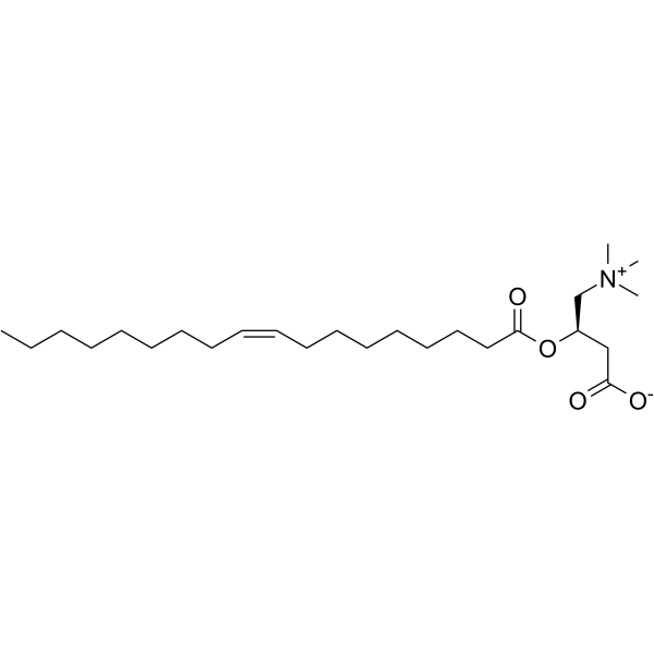 OleoylcarnitineͼƬ