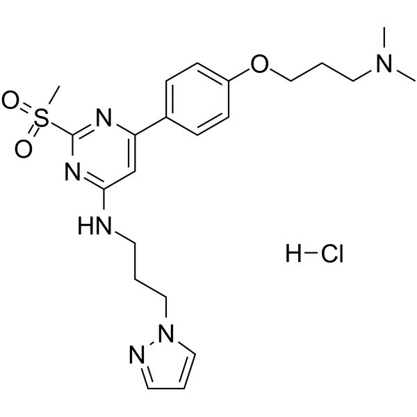 TP-238 hydrochlorideͼƬ