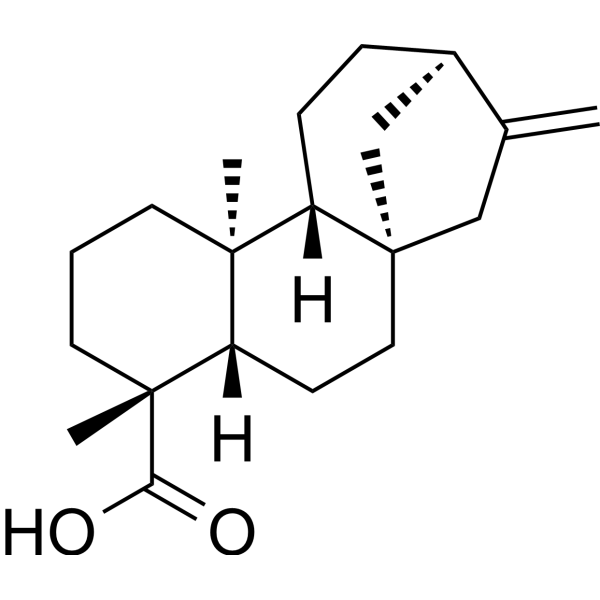 Kaurenoic acidͼƬ