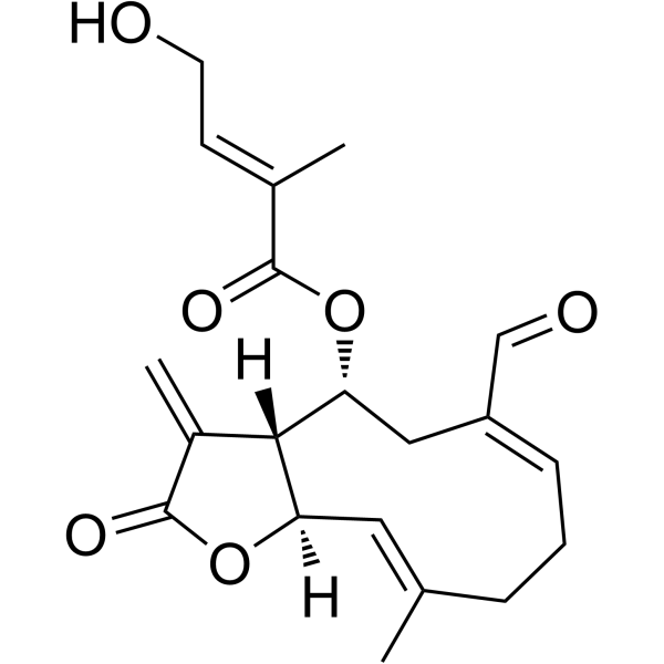 Eupahualin CͼƬ