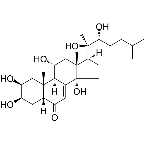 Ajugasterone CͼƬ